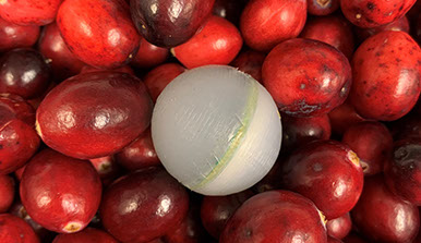 Cranberry Impact Recorder